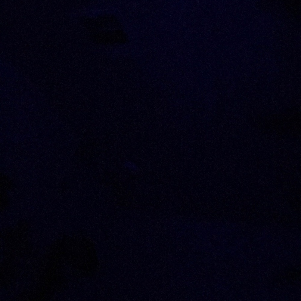 Meet your Posher, Lauryn